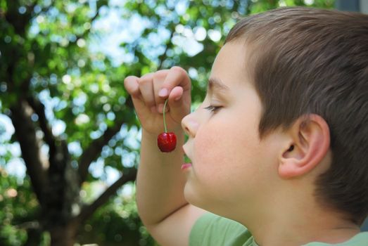 Boy holding a bing cherry in his hand in the front of his mouth like a sweet temptation.