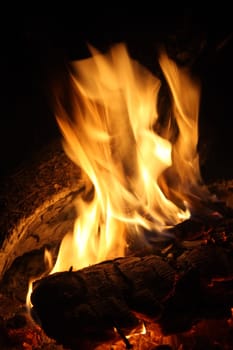 Night fire in the summer