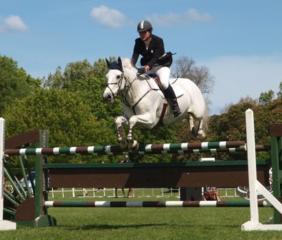 HASTINGS - October 22: White Horse Jumping Hawkes Bay A and P Show. Hastings New Zealand October 22 2008      