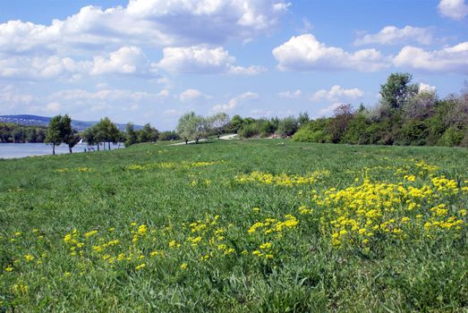 View of the famous Danube Island (Donauinsel) in Vienna.