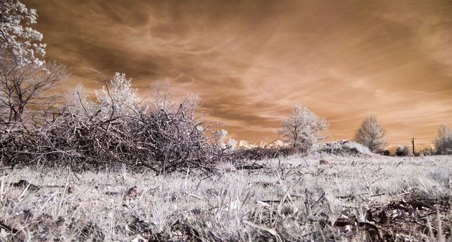Panoramic infrared picture of a meadow with mountain in the background