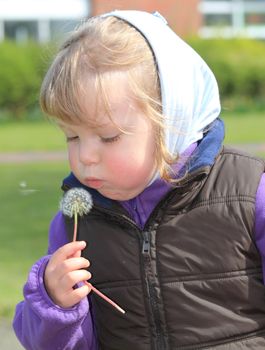 little girl with dandelion on a sunny spring day