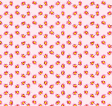 Gazania Sparking Burgundy Seamless pattern with pink background    