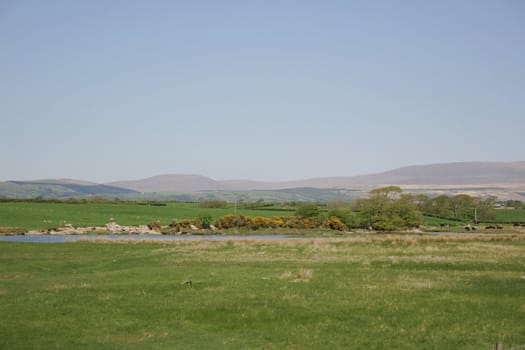 river in the middle of the countryside