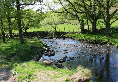 sunlight and shadows on the blue river 