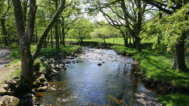 sunlight and shadows on the tree lined river 