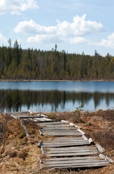 Old wooden pier to lake, coniferous wood, cloud