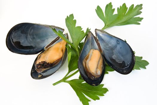 two boiled mussels with parsley isolated on white background