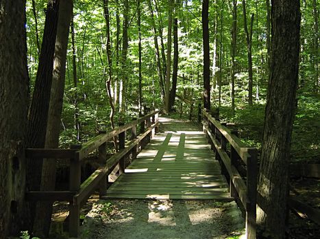 A photograph of a quiet walking trail.