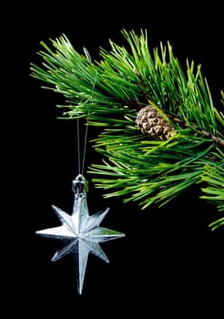 silver star ,pines of the branch on dark background,toy cristmas