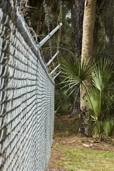 A chain-link fence with barbed wire on top.