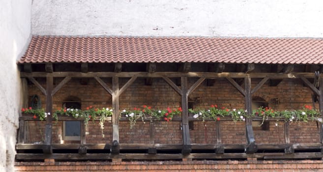 Balcony with flowers