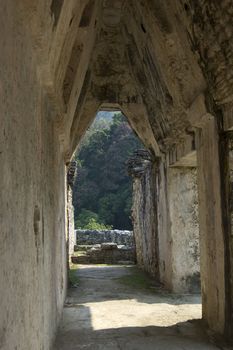 Detail of the entrance to king pakal palenque castle in chiapas, Mexico