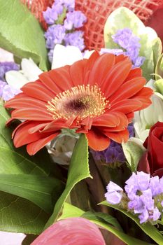 Closeup of a colorful flower bouquet