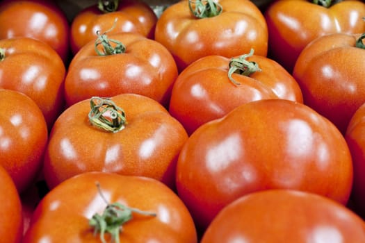 fresh red tomatoes in a heap on a light background