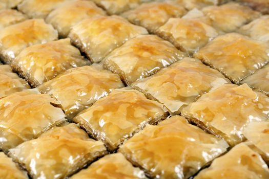 Traditional Turkish dessert Baklava - ready to be served