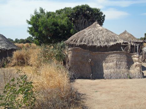 traditional village in north Cameroon