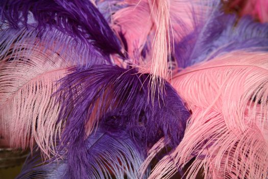 Pink purple and lavendar feathers make a nice texture background