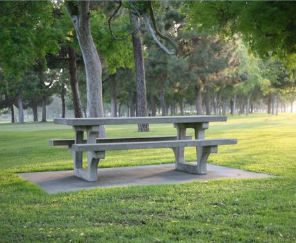 Empty bench in a park