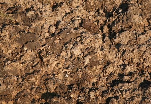 Manure or fertilizer mixed with dirt background