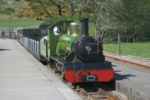 narrow gauge steam train arriving at a station platform