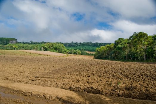 Exposed soil on forest converted to agricultural production area in southern Brazil.