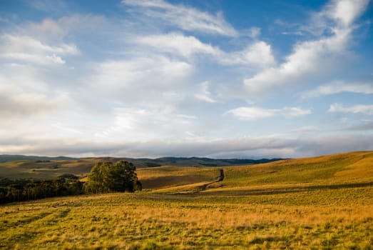 Golden grass prairies in southern Brazil with blue sky and clouds.