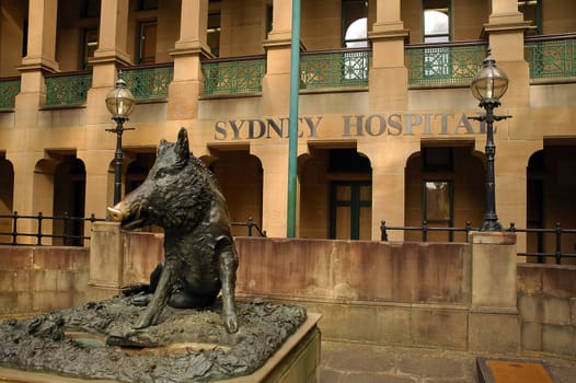 sculpture IL PORCELINO in front of Sydney Hospital,