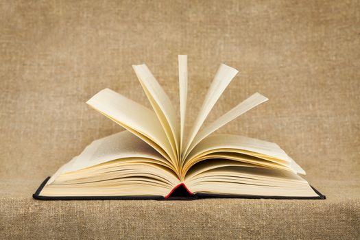 Disclosed book on the canvas background