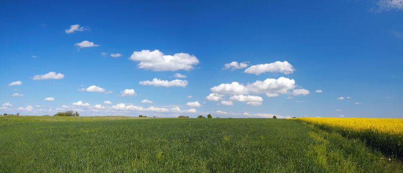 Lithuanian landscape panorama with blue sky and clouds 