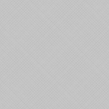 seamless texture of thin diagonal checks on white