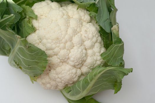 organic fresh whole cauliflower with leaves still on