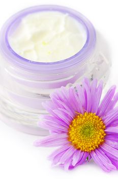 Closeup of open container of cosmetic face cream on white backround with violet camomile.