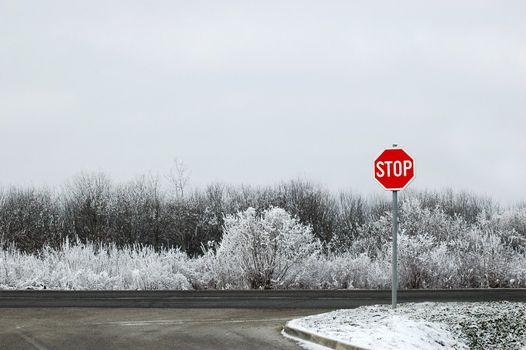 Red road sign stop on winter almost black and white background