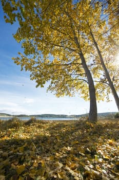 Autumn scene of Northern Portugal