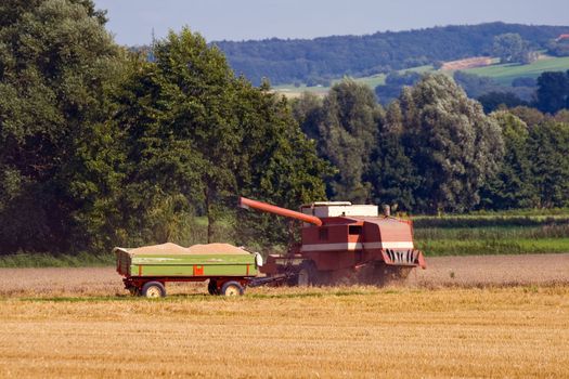 A combine harvester working a grainfield, besides a trailer