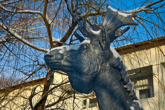 Monument elk. Head close against the blue sky and tree branches