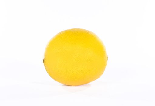 Yellow lemon over white background. Studio shot.