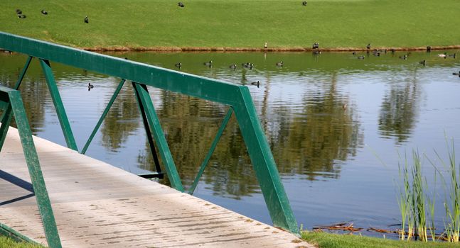 Bridge on a golf course with water and birds