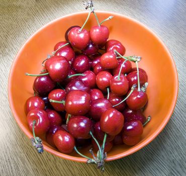 Close up of a bunch of red cherries