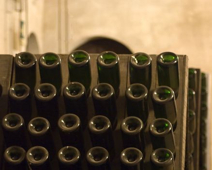 Closeup of bottles of wine aging in an old cellar