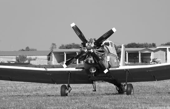 Old plane still in a field, black and white