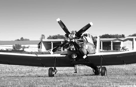 Old plane still in a field, black and white