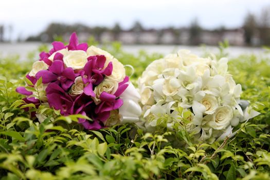 Wedding bouquet made of tropical flowers.