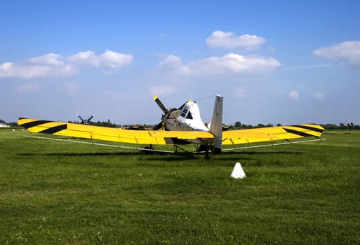 Old yellow plane seen from behind, targeting blue sky