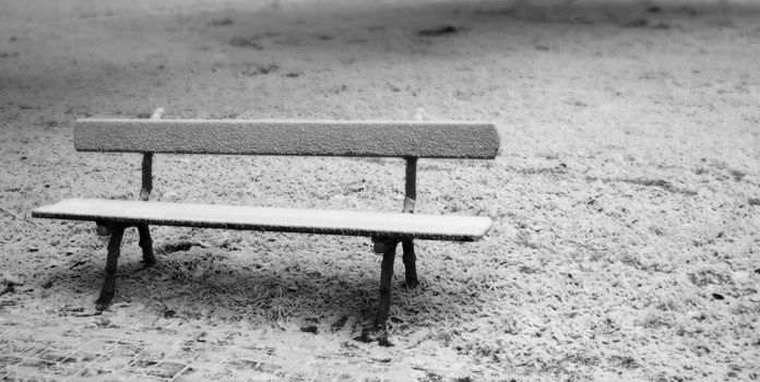 A solitary bench in a snowy landscape