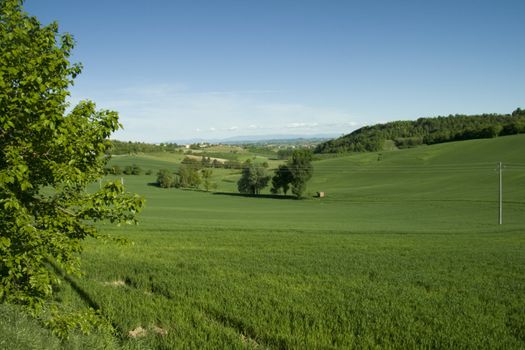 Green grass field with blue sky and a little house