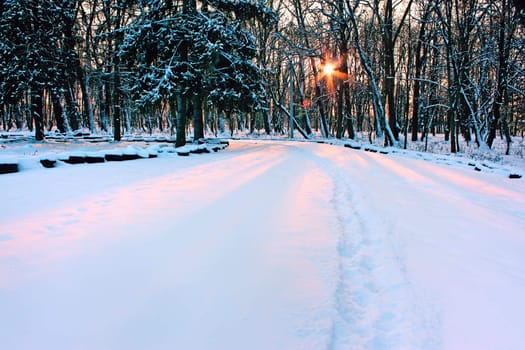 Sunset in the winter snow park. Frosty weather