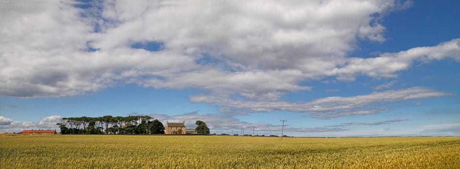Arable farmland in East Lothian Scottland.