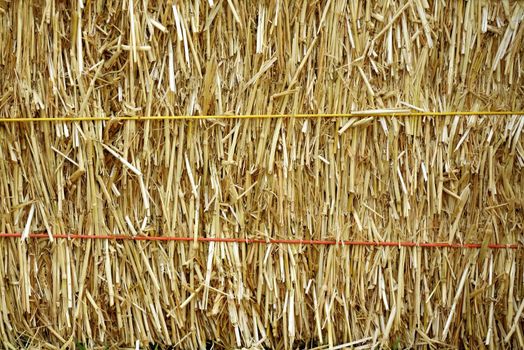 Straw bale that's a beautiful golden color